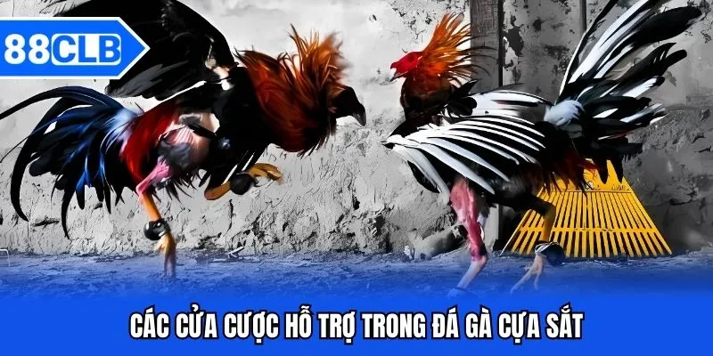 Đá Gà Cựa Sắt 88CLB - Bắt Kèo Chiến Kê Siêu Đỉnh Năm 2025 4 Các cửa cược hỗ trợ trong đá gà cựa sắt