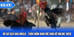 đá gà cựa dao