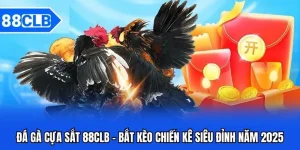 đá gà cựa sắt