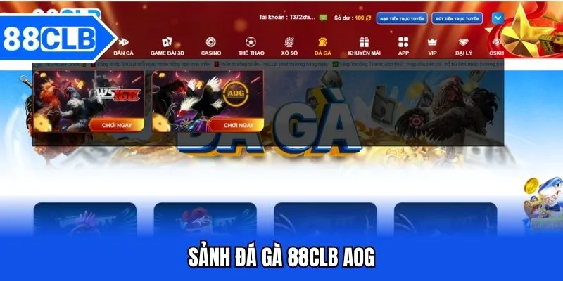 Sảnh đá gà 88CLB AOG