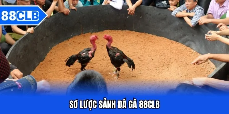 Sơ lược sảnh game đá gà 88CLB
