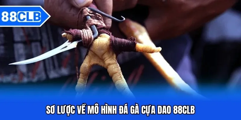 Đá Gà Cựa Dao 88CLB - Chọi Chiến Kê Cực Đỉnh 2025 2 Sơ lược về mô hình đá gà cựa dao 88CLB