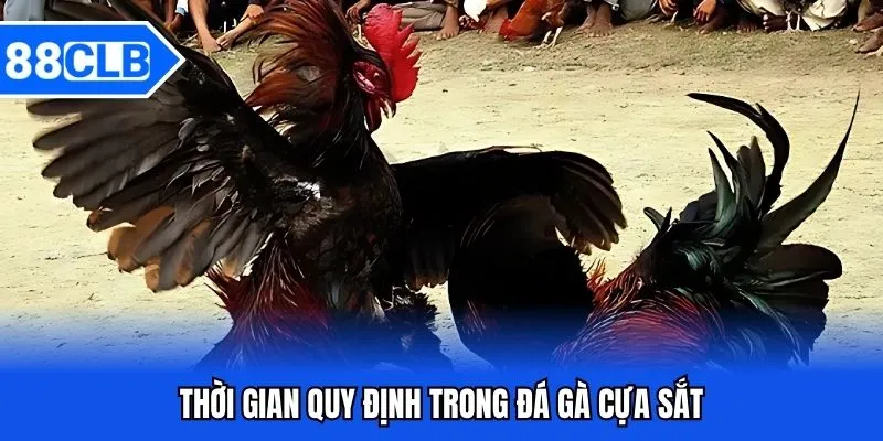 Đá Gà Cựa Sắt 88CLB - Bắt Kèo Chiến Kê Siêu Đỉnh Năm 2025 3 Thời gian quy định trong đá gà cựa sắt